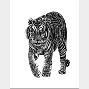 Amur tiger Posters and Art